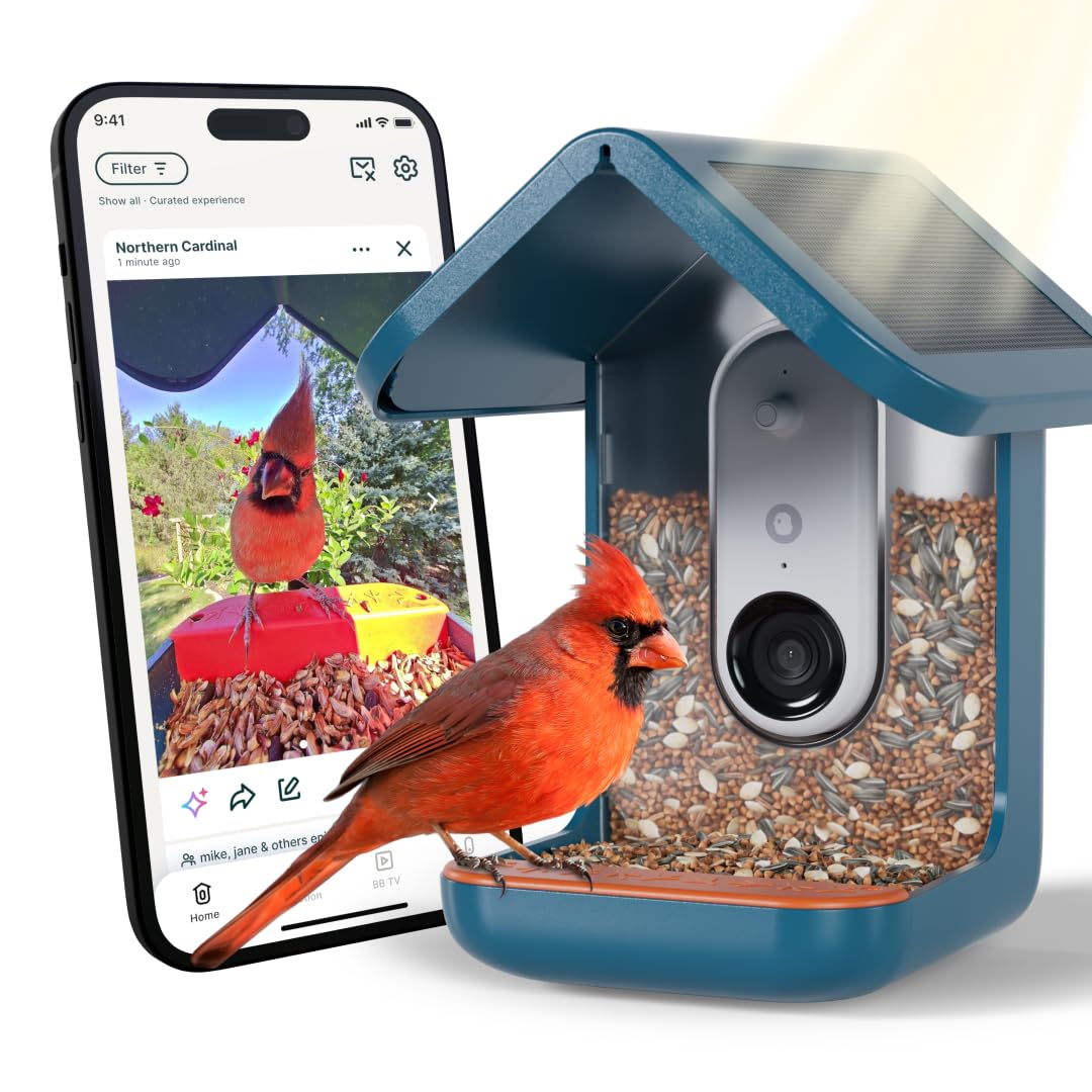 Bird Buddy Smart Bird Feeder