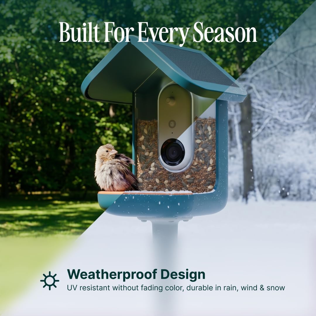 Bird Buddy Smart Bird Feeder 2