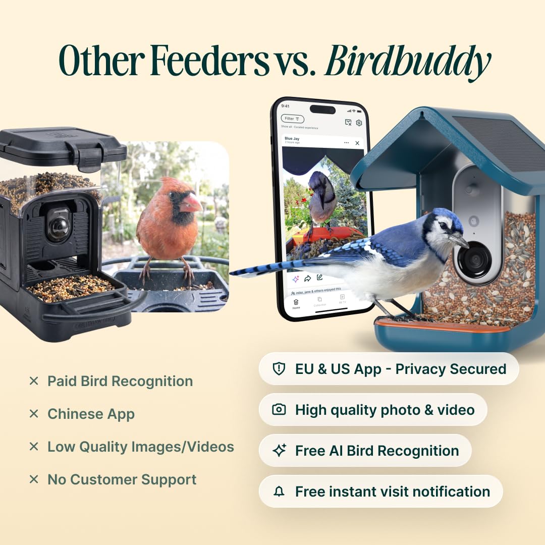 Bird Buddy Smart Bird Feeder 3