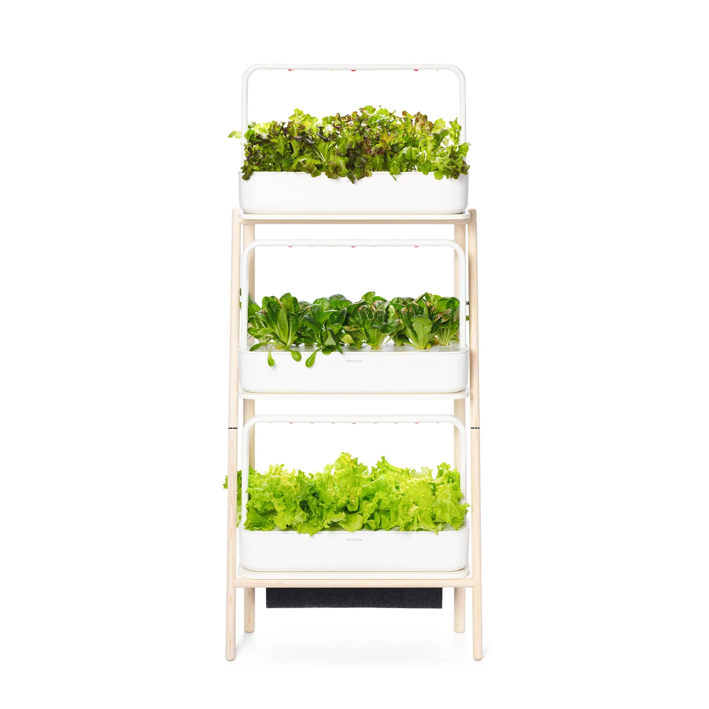 Click & Grow Smart Garden 3