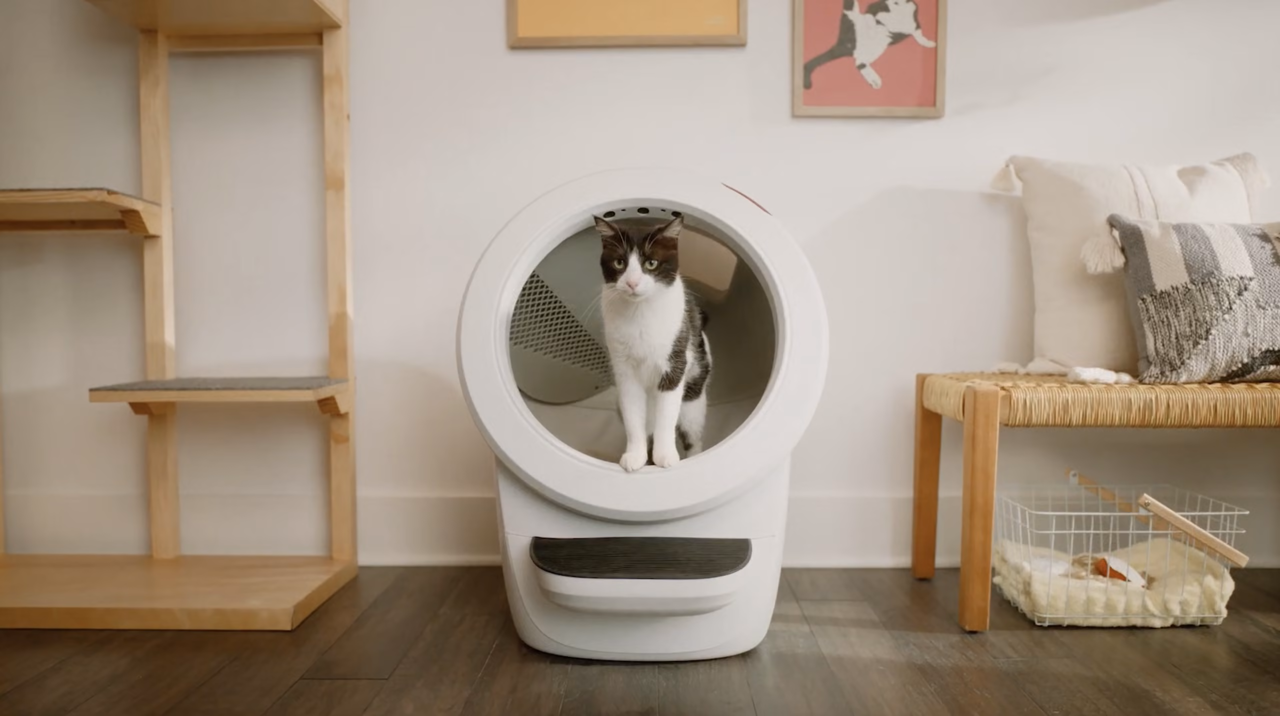 Litter-Robot 2