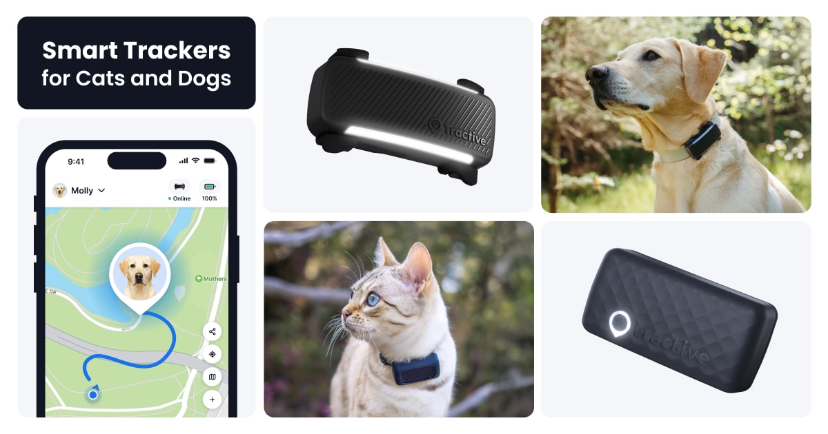 Tractive GPS Pet Tracker
